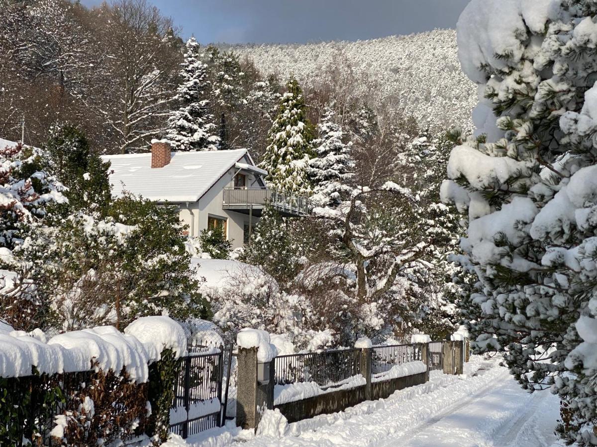 Ferienhaus Pfaelzer Wald Weyher Eksteriør bilde